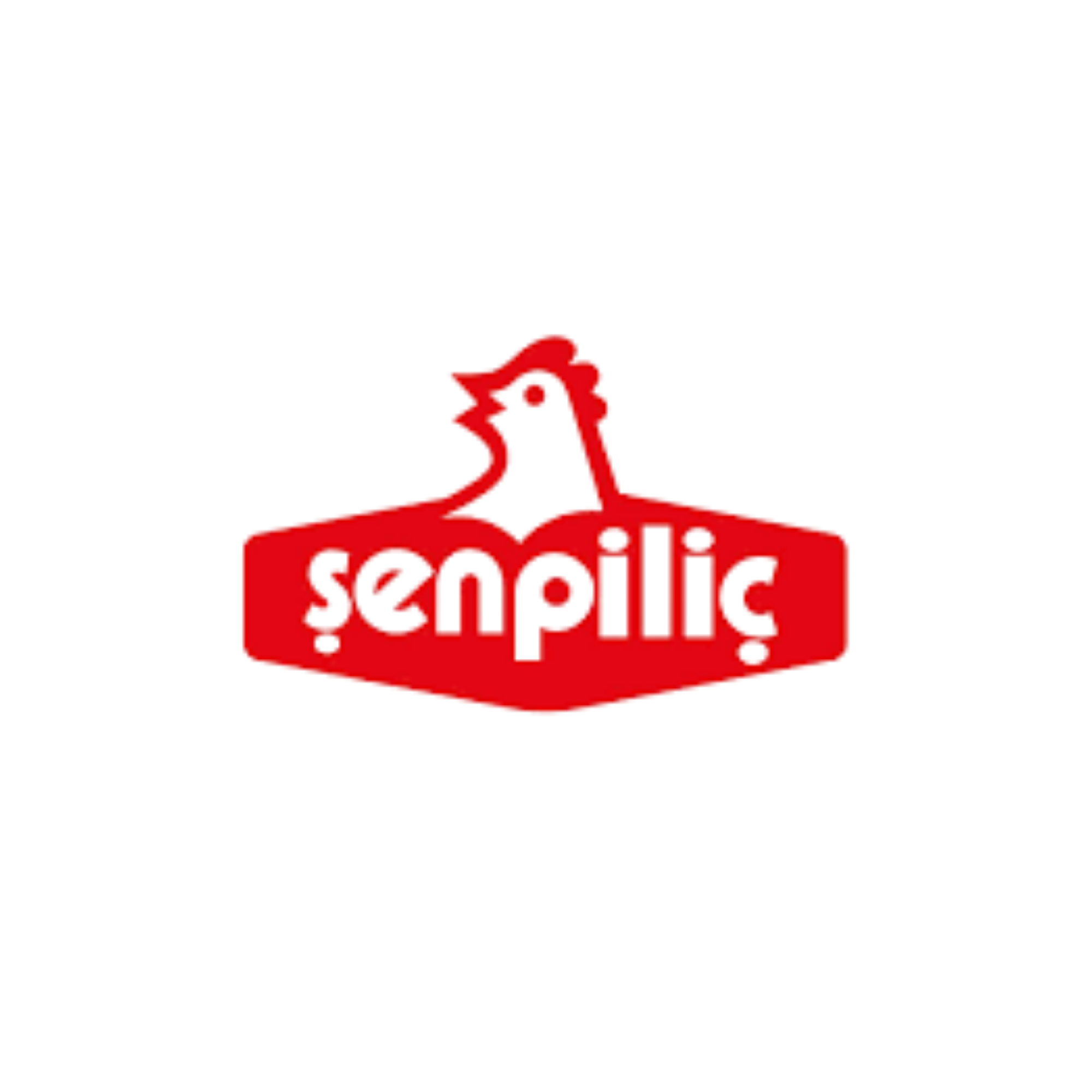 Şen Piliç referans